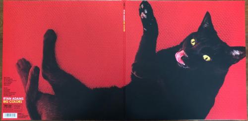 Виниловая пластинка Ryan Adams - Big Colors (Coloured Vinyl 7" LP)
