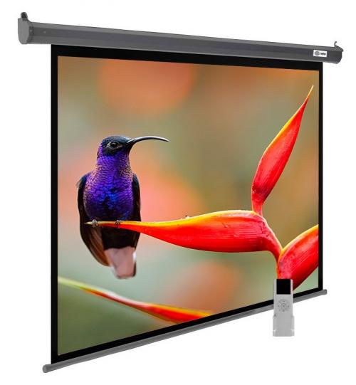 Экран Cactus SIlverMotoExpert CS-PSSME-220x138-DG