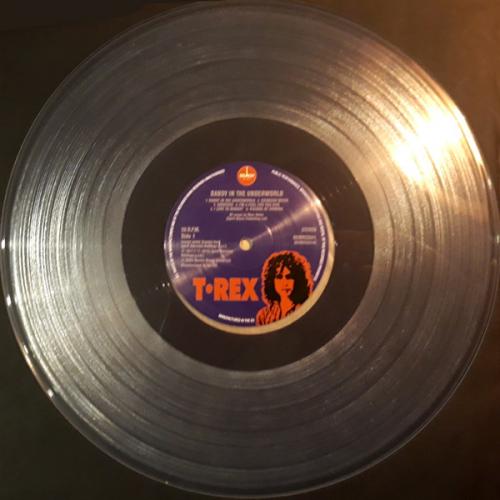 Виниловая пластинка T. Rex - Dandy In The Underworld (coloured) (Сoloured Vinyl LP)