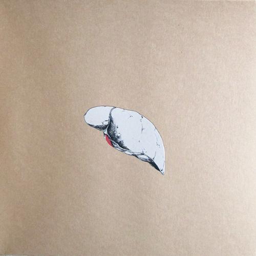 Виниловая пластинка Swans - The Beggar (Black Vinyl 2LP)