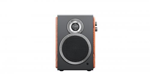 Полочная акустика FiiO SA1 (F3053S) Twilight Black