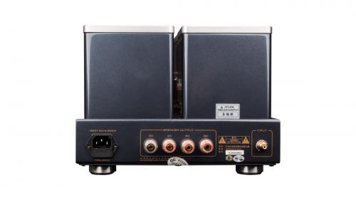 Ламповый усилитель Cayin 9084D MK2 (2 шт.)