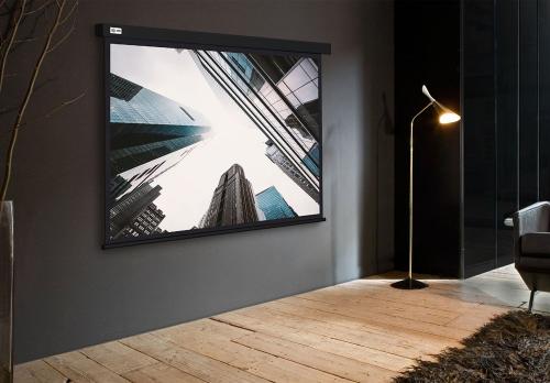 Экран Cactus Wallscreen CS-PSW-124X221-BK