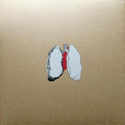 Виниловая пластинка Swans - The Beggar (Black Vinyl 2LP)