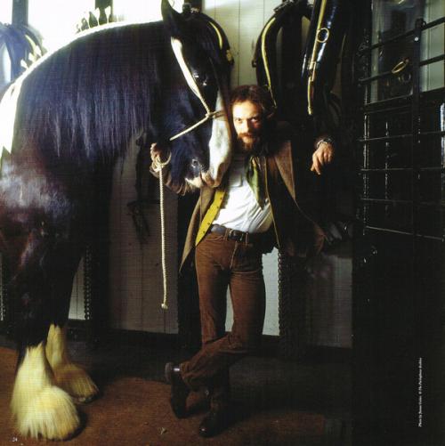 Виниловая пластинка WM Jethro Tull Heavy Horses (Steven Wilson Remix) (180 Gram)