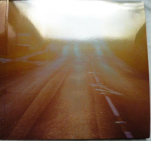 Виниловая пластинка Snow Patrol - Final Straw (Coloured Vinyl 2LP)