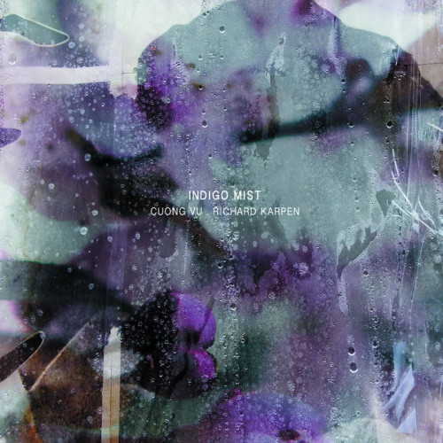Виниловая пластинка Indigo Mist - That The Days Go By And Never Come Again (Black Vinyl LP)
