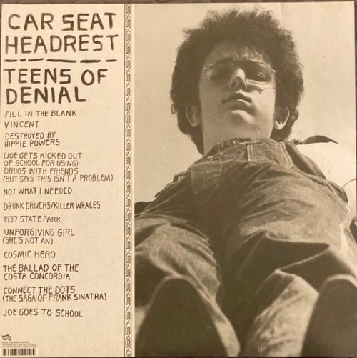 Виниловая пластинка Car Seat Headrest - Teens Of Denial (Black Vinyl 2LP)