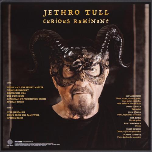 Виниловая пластинка Jethro Tull - Curious Ruminant (Black Vinyl LP)