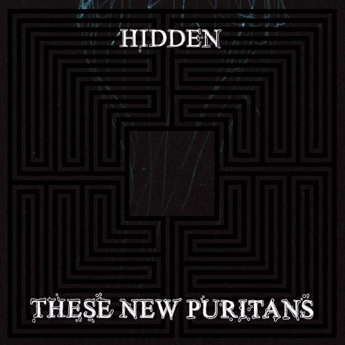 Виниловая пластинка These New Puritans - Hidden (MMXX) (10th Anniversarym, Black Vinyl 2LP)