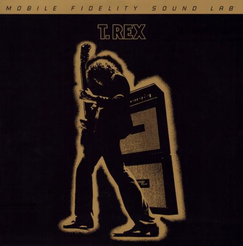 Виниловая пластинка T. Rex - Electric Warrior (Original Master Recording) (Black Vinyl 2LP)