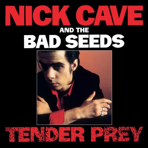 Виниловая пластинка Nick Cave - Tender Prey (Black Vinyl LP)