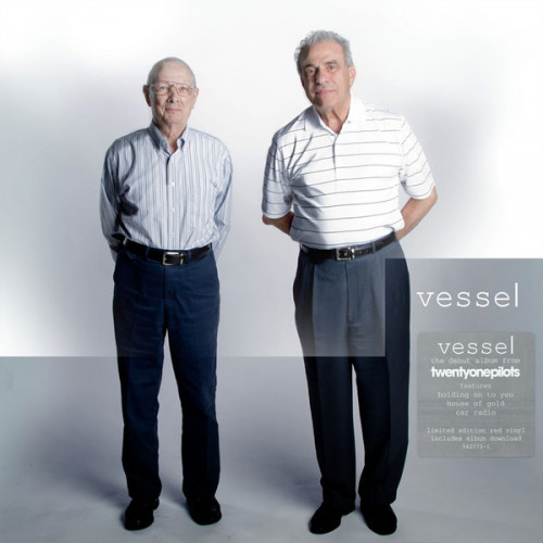 Виниловая пластинка WM Twenty One Pilots Vessel