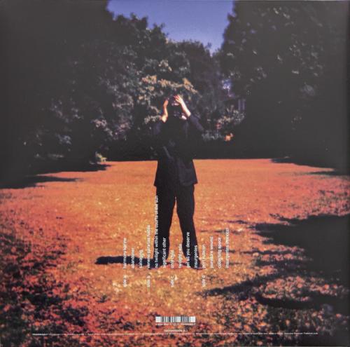 Виниловая пластинка Steven Wilson - Insurgentes (Black Vinyl 2LP)
