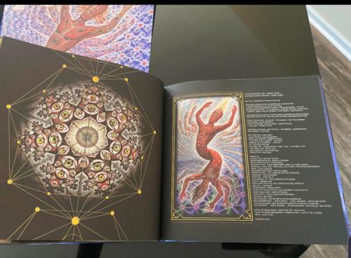 Виниловая пластинка Tool - Fear Inoculum (Limited Deluxe Edition 180 Gram Black Vinyl 5LP)