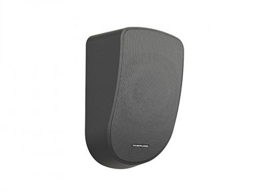 Настенный громкоговоритель CVGaudio WPL6TBL