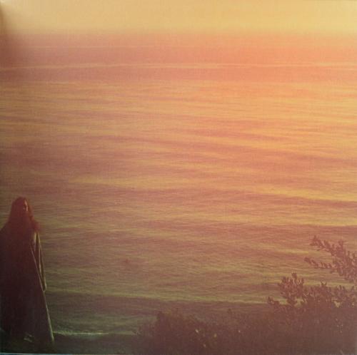 Виниловая пластинка Carlos Nino - More Energy Fields, Current (Black Vinyl LP)