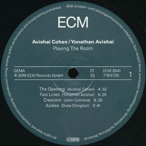 Виниловая пластинка Avishai Cohen / Yonathan Avishai, Playing The Room (LP 180 Gr)