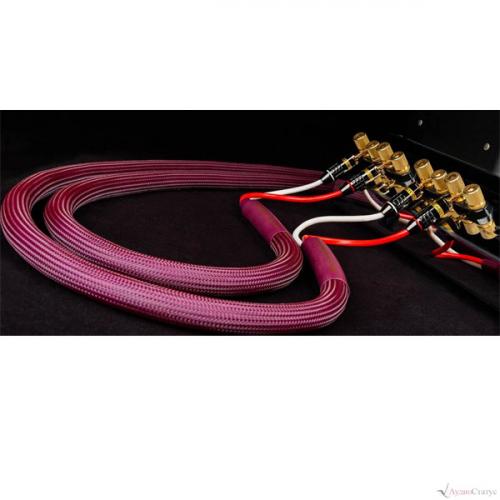 Акустический кабель Tchernov Cable Classic MkIII SC Sp/Bn (1.65 m)