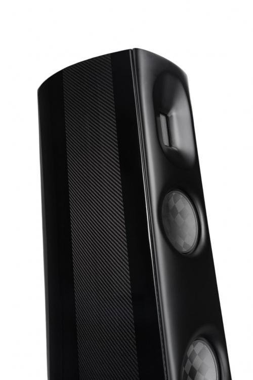 Напольная акустика Borresen C2 Black