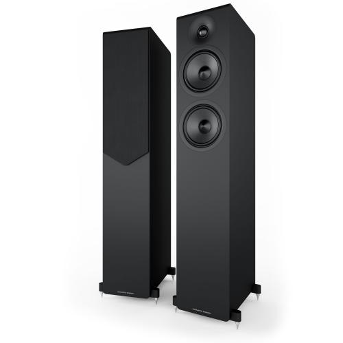 Напольная акустика Acoustic Energy AE309-2 (2025) Matte Black