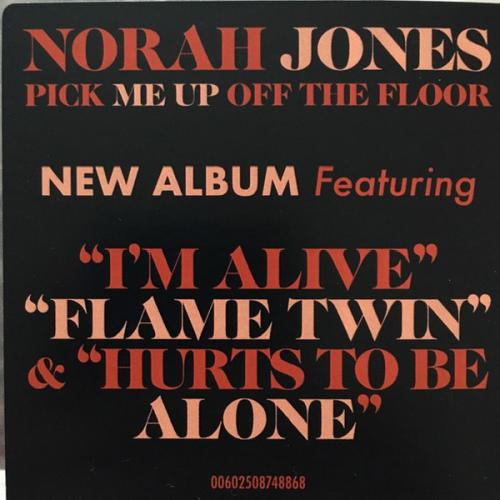 Виниловая пластинка Norah Jones - Pick Me Up Off The Floor