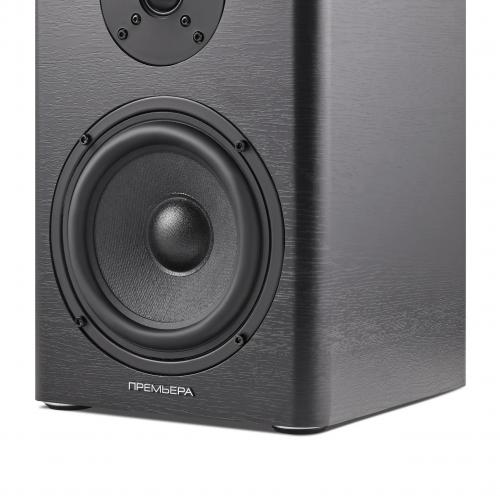 Акустическая система Premiera ES-701A BK