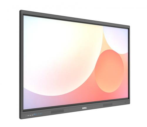 Интерактивная панель Exell EFH752R2K04
