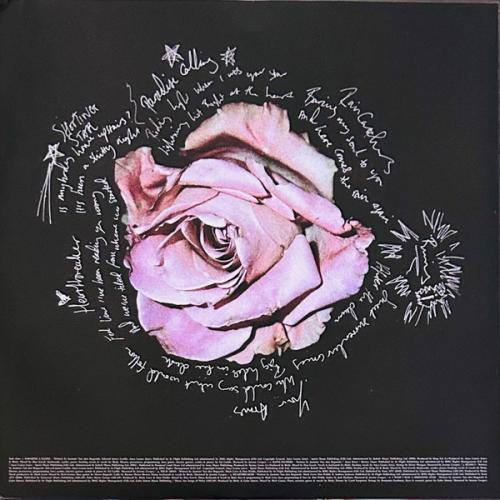 Виниловая пластинка Birdy - Portraits (Black Vinyl LP)