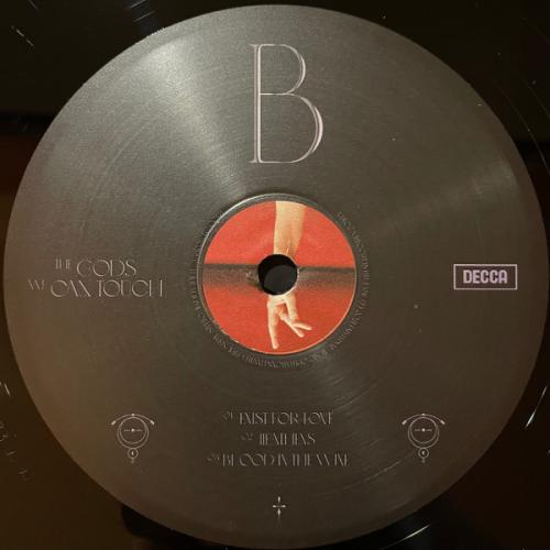 Виниловая пластинка Aurora - The Gods We Can Touch (180 Gram Black Vinyl 2LP)