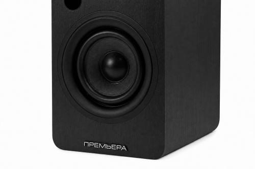 Многофункциональная активная акустическая система PREMIERA RS-301A BK