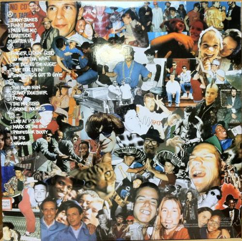 Виниловая пластинка Beastie Boys, The, Check Your Head