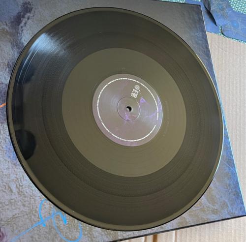 Виниловая пластинка Tool - Fear Inoculum (Limited Deluxe Edition 180 Gram Black Vinyl 5LP)
