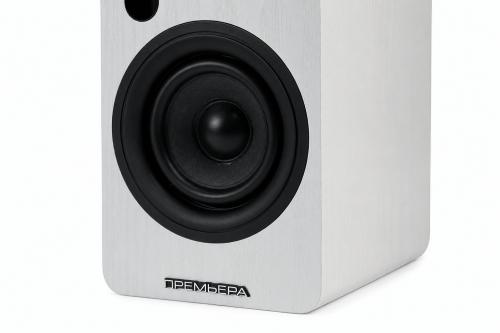 Многофункциональная активная акустическая система PREMIERA RS-301A WT