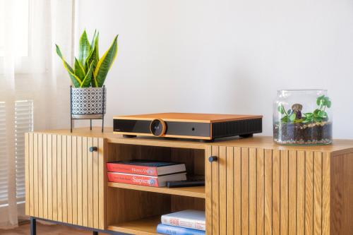Интегральный усилитель Canor Audio Virtus I4S Bronze