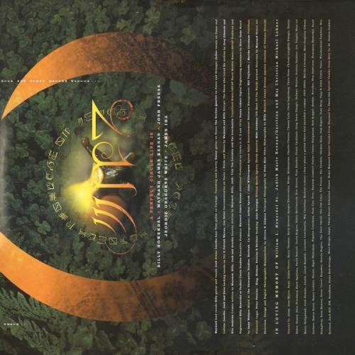 Виниловая пластинка A Perfect Circle - Thirteenth Step (Black Vinyl 2LP)