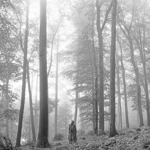 Виниловая пластинка Taylor Swift - folklore ("in the trees" edition)