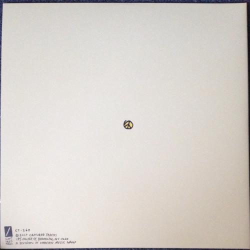 Виниловая пластинка Mac DeMarco - This Old Dog (Black Vinyl LP)