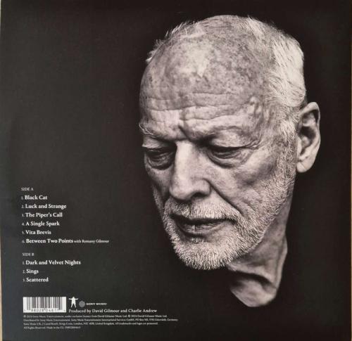 Виниловая пластинка David Gilmour - Luck And Strange (140 Gram Black Vinyl LP)