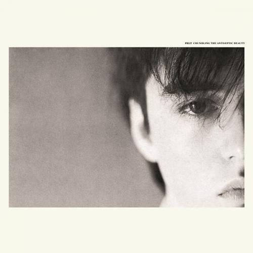 Виниловая пластинка Felt - Crumbling The Antiseptic Beauty (Limited Edition, Black Vinyl LP)