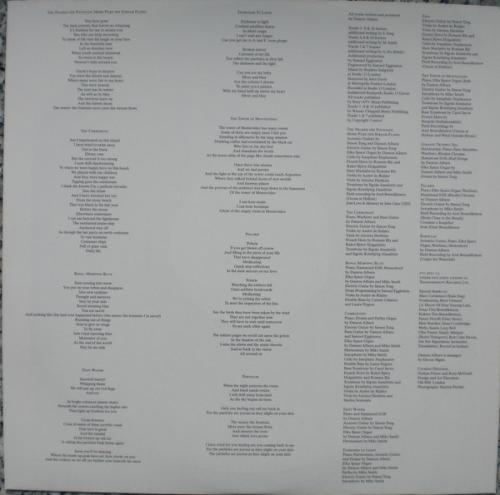 Виниловая пластинка Damon Albarn - The Nearer The Fountain, More Pure The Stream Flows (Black Vinyl LP)