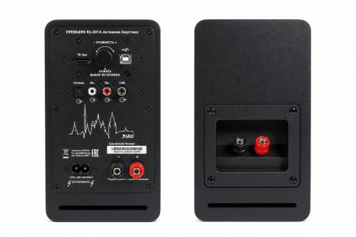 Многофункциональная активная акустическая система PREMIERA RS-301A BK