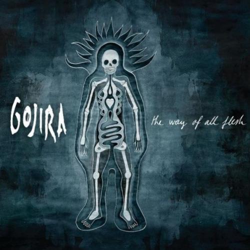 Виниловая пластинка Gojira - The Way Of All Flesh (Coloured Vinyl 2LP)
