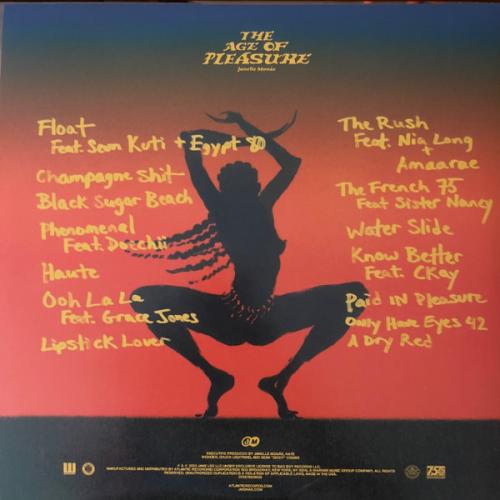 Виниловая пластинка Monae, Janelle - The Age Of Pleasure (Black Vinyl LP)
