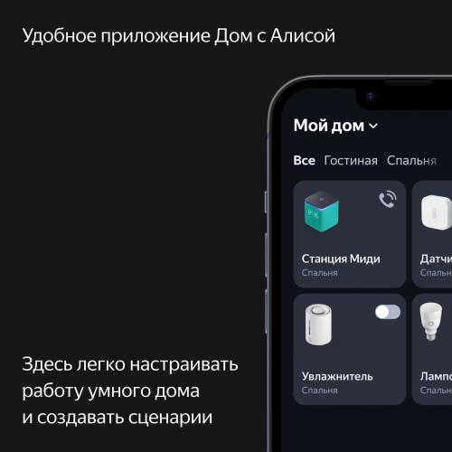 Умная колонка Яндекс Станция Миди Grey