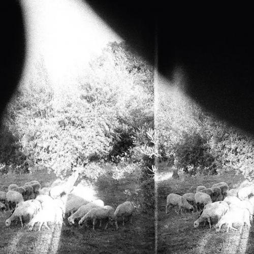 Виниловая пластинка Godspeed You! Black Emperor - Asunder, Sweet And Other Distress (Black Vinyl LP)
