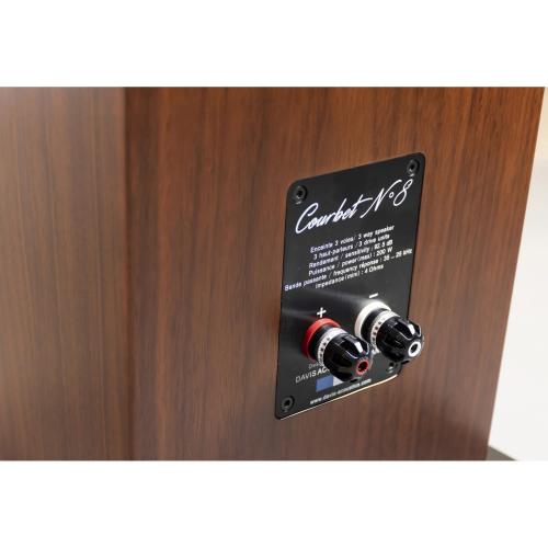 Напольная акустика Davis Acoustics Courbet 8 Walnut