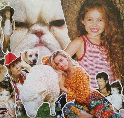 Виниловая пластинка Sony Miley Cyrus Younger Now (Gatefold)