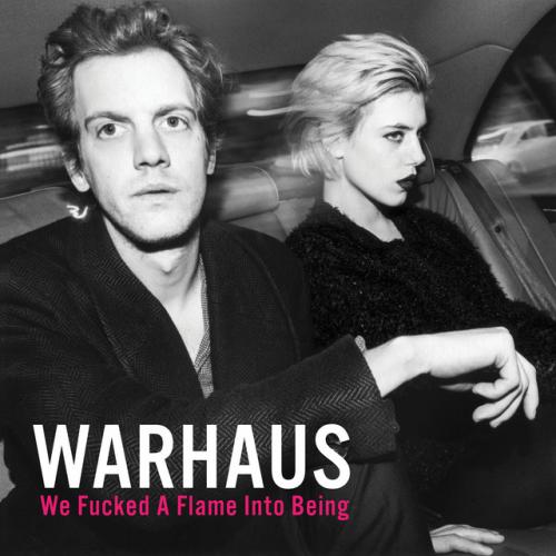 Виниловая пластинка Warhaus - We Fucked A Flame Into Being (Black Vinyl LP)