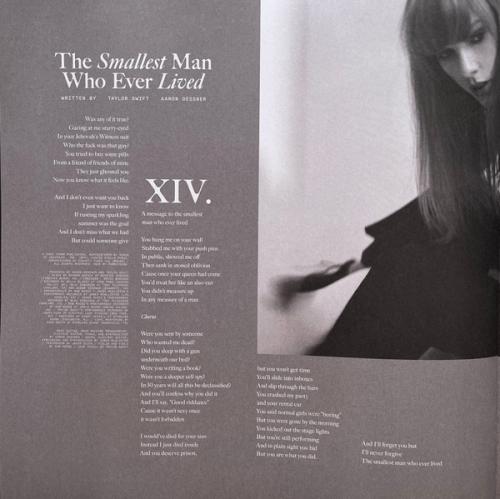 Виниловая пластинка Taylor Swift - The Tortured Poets Department  (alternative artwork) (Limited Smoke Vinyl 2LP, Bonus Track 'The Albatross')